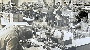 Im April 1970 wurde der Personalhöchststand erreicht: 1.296 Menschen arbeiteten damals bei Grundig in Landau. Zu den Hauptprodukten gehörten Musiktruhen, Weltempfänger, Hi-Fi-Anlagen, Kofferradios und Autoradios. Insgesamt wurden in Landau bis 1981 rund vier Millionen Geräte gefertigt. Im April 1970 wurde der Personalhöchststand erreicht: 1.296 Menschen arbeiteten damals bei Grundig in Landau. Zu den Hauptprodukten gehörten Musiktruhen, Weltempfänger, Hi-Fi-Anlagen, Kofferradios und Autoradios. Insgesamt wurden in Landau bis 1981 rund vier Millionen Geräte gefertigt.