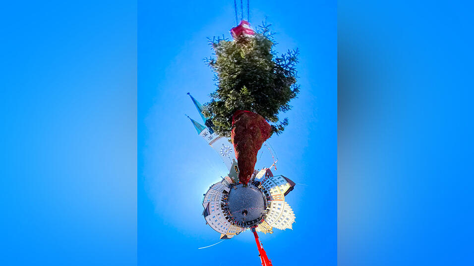 Straubing hat wieder den ersten Christbaum Bayerns! Straubing hat wieder den ersten Christbaum Bayerns!