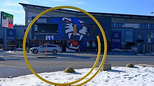 Das Projekt werde nur gef&ouml;rdert, weil es Sport als Integrationsfaktor f&uuml;r jedes Alter und jede Ethnie bewerte, sagt Vetter-Gindele.