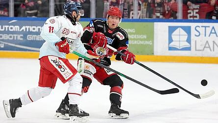 Kampf ist Trumpf: Der EVL und die DEG werden sich in den Pre-Playoffs nichts schenken, wie hier Landshuts Tobi Schwarz (re.) und D&uuml;sseldorfs Luca Tosto in der Hauptrunde.