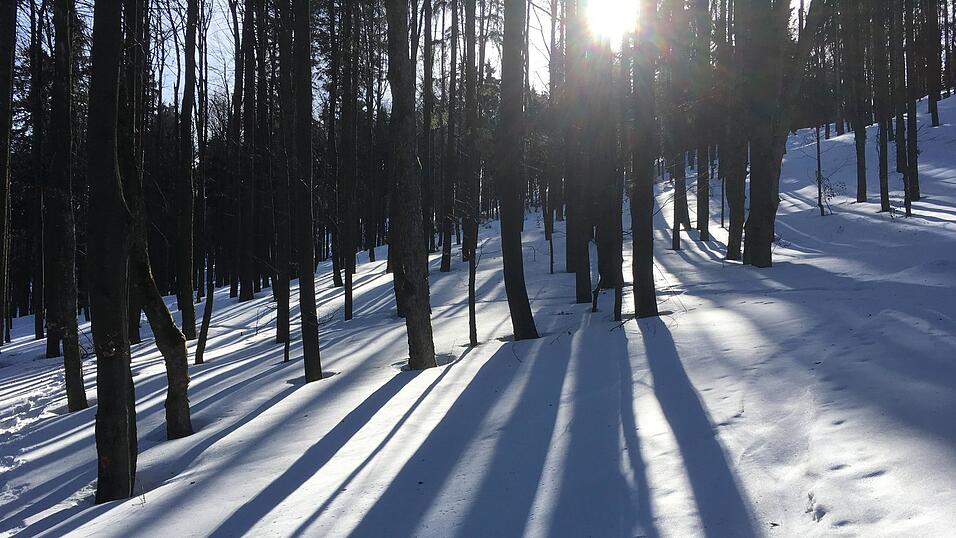 Winter-Idylle: Der Wald lockt nicht nur zu Lebzeiten, auch als letzte Ruhestätte ist er gefragter denn je. Vor gut zwei Jahren hat die Stadt Bad Kötzting beschlossen, am Ludwigsberg einen Naturfriedhof zu errichten. Wegen der unsicheren Rechtslage werden diese Pläne nun nicht weiter verfolgt. Winter-Idylle: Der Wald lockt nicht nur zu Lebzeiten, auch als letzte Ruhestätte ist er gefragter denn je. Vor gut zwei Jahren hat die Stadt Bad Kötzting beschlossen, am Ludwigsberg einen Naturfriedhof zu errichten. Wegen der unsicheren Rechtslage werden diese Pläne nun nicht weiter verfolgt.