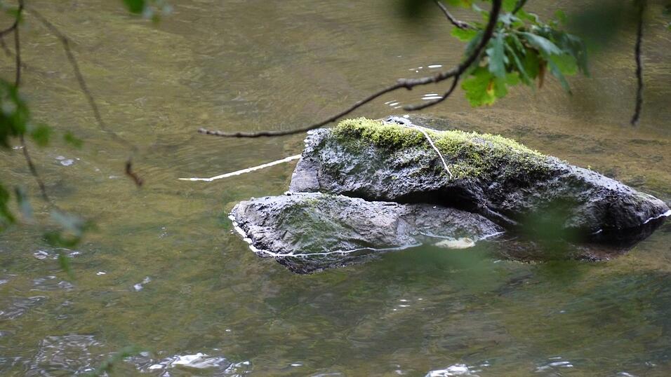 Wunderschönes Ausflugsziel in Passau: die Halser Ilzschleifen. Wunderschönes Ausflugsziel in Passau: die Halser Ilzschleifen.