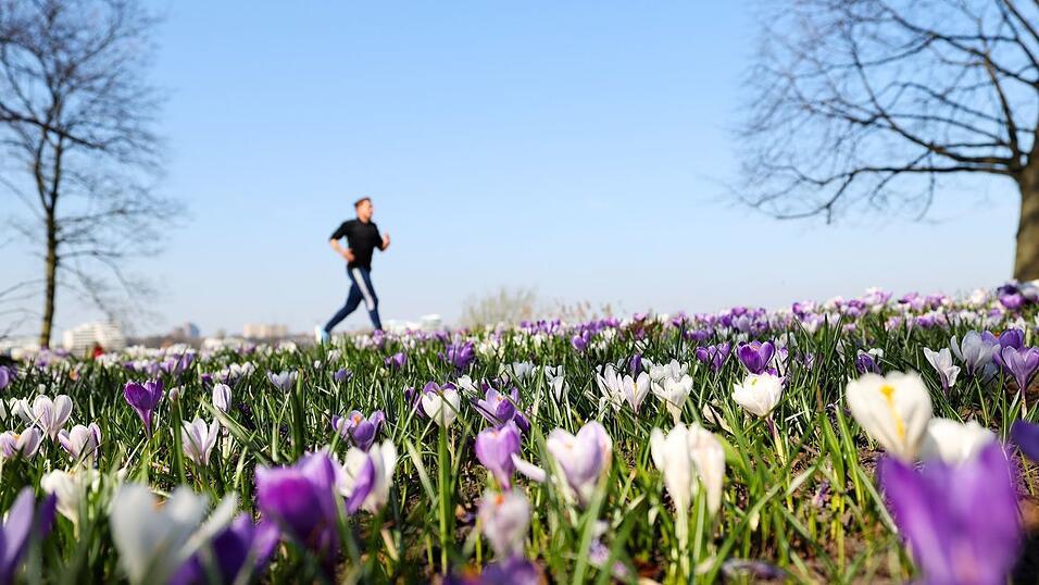 Joggen durch ein Blumenmeer ist jetzt wieder m&ouml;glich. (Archivbild)