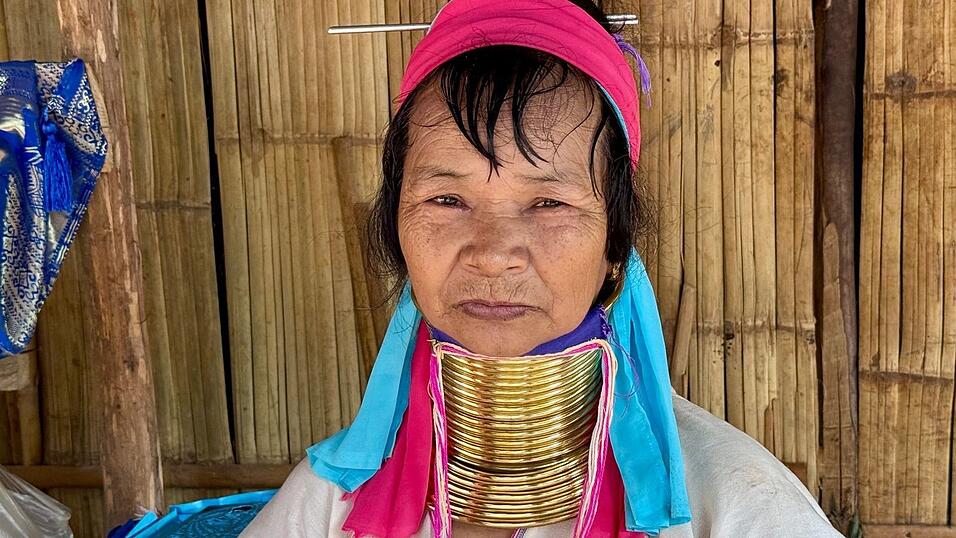 Bis zum 45. Lebensjahr kommen immer neue Ringe hinzu. Bis zum 45. Lebensjahr kommen immer neue Ringe hinzu.