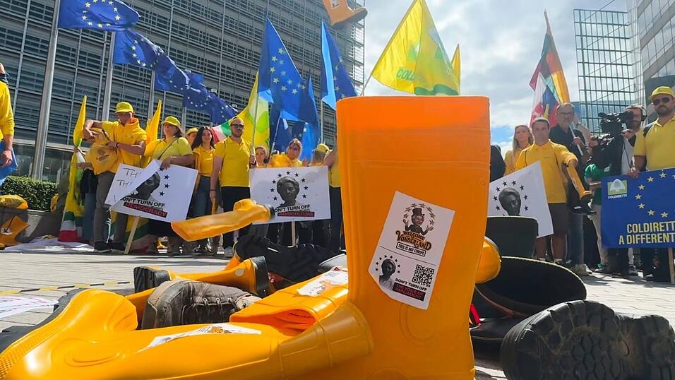 Die EU-Abgeordneten wollen Europas Landwirten mehr Geld fest zusagen. (Archivbild)