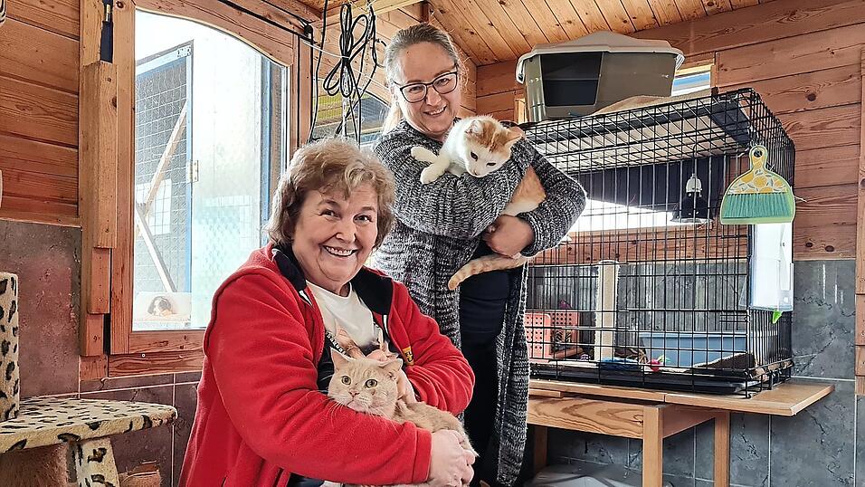 Pflegestellenchefin Beatrice Lang (l.) und Social-Media-Beauftragte Margot Huber mit den Katern 'Barbarossa' und 'Maccaroni'. Pflegestellenchefin Beatrice Lang (l.) und Social-Media-Beauftragte Margot Huber mit den Katern 'Barbarossa' und 'Maccaroni'.