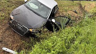Der Audi blieb in der angrenzenden Böschung liegen.