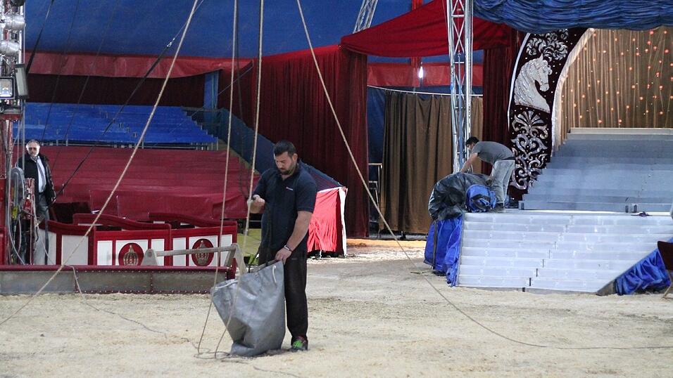 In der Manege laufen wenige Stunden vor der ersten Vorführung die letzten Vorbereitungen. In der Manege laufen wenige Stunden vor der ersten Vorführung die letzten Vorbereitungen.