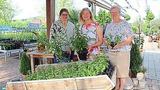 Zu jedem Schmetterlingsflieder gibt es eine Brennnessel gratis: Katharina Gleixner, Erika Babl und Kristine Klein machen sich f&uuml;r die Brennnessel stark. Sie ist Heilpflanze, D&uuml;nger und Superfood in einem.