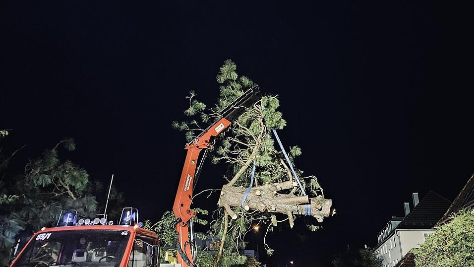 Auch die Freiwillige Feuerwehr Moosburg hatte zahlreiche Einsätze im Stadtgebiet zu bewältigen. Auch die Freiwillige Feuerwehr Moosburg hatte zahlreiche Einsätze im Stadtgebiet zu bewältigen.