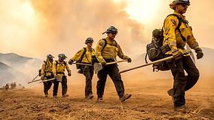 Mehr als 2.000 Einsatzkräfte kämpfen gegen das «Gifford Fire» in einem Waldgebiet nahe Santa Barbara.