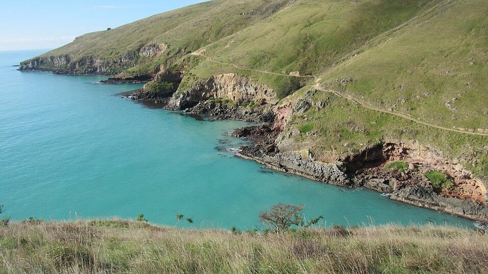 Impressionen von Elisas Zeit in Neuseeland.