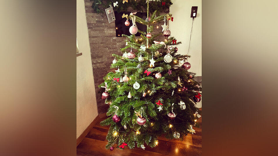 Auch dieser Baum kann sich wahrlich sehen lassen.&nbsp;&nbsp;