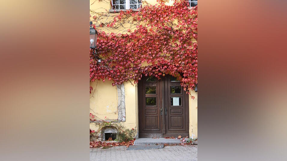 Das Umweltzentrum 'Schloss Wiesenfelden'