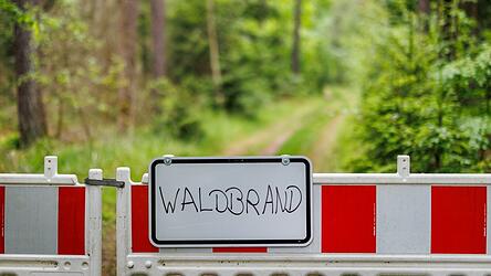 Die Waldbrand-Gefahr in Bayern ist schon jetzt hoch (Illustration).