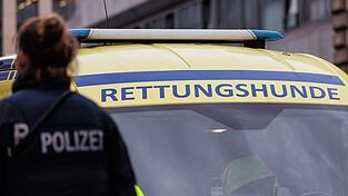 Wenn ein Kind vermisst wird, nimmt die Polizei das niemals auf die leichte Schulter. (Illustration)