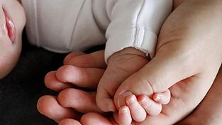 Die Nieren der Einjährigen haben versagt. Die Kleine braucht eine tägliche Dialyse. Die Nieren der Einjährigen haben versagt. Die Kleine braucht eine tägliche Dialyse.