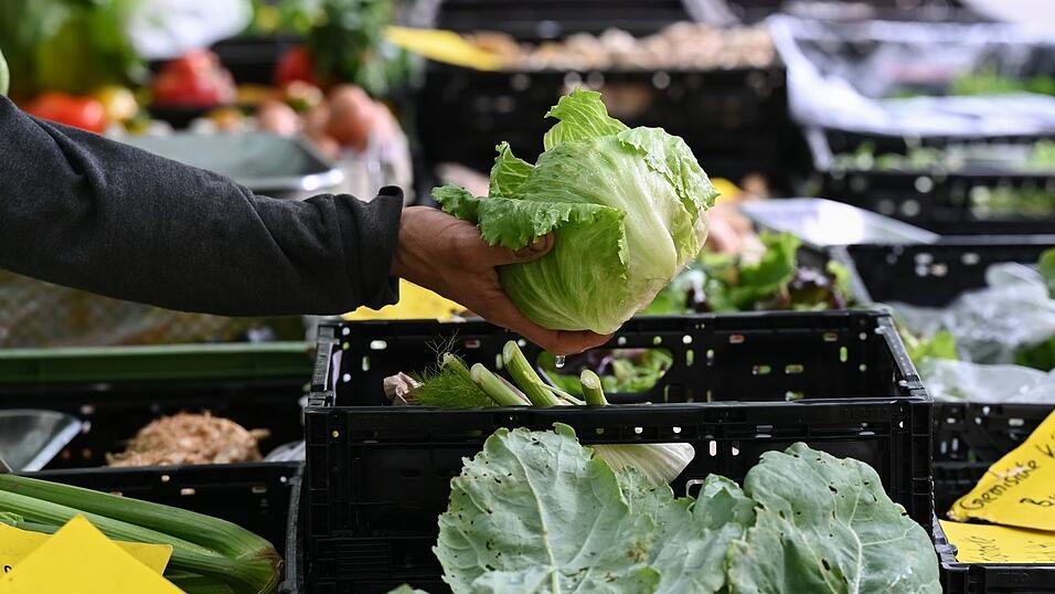 Beh&ouml;rden in den USA bringen einen Ausbruch in neun Bundesstaaten mit Eisbergsalat in Verbindung. (Symbolbild)