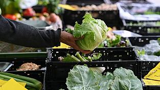 Behörden in den USA bringen einen Ausbruch in neun Bundesstaaten mit Eisbergsalat in Verbindung. (Symbolbild) Behörden in den USA bringen einen Ausbruch in neun Bundesstaaten mit Eisbergsalat in Verbindung. (Symbolbild)