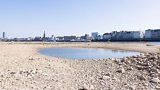 Die EU hat sich auf ein neues Klimaziel geeinigt. (Archivbild) Die EU hat sich auf ein neues Klimaziel geeinigt. (Archivbild)