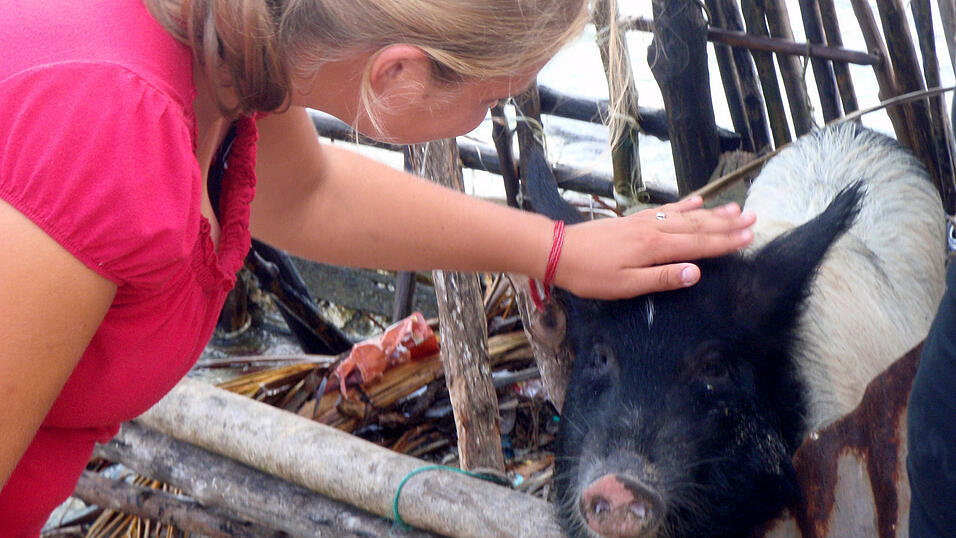 Ankunft in der Karibik, Dezember 2009/Januar 2010 Ankunft in der Karibik, Dezember 2009/Januar 2010