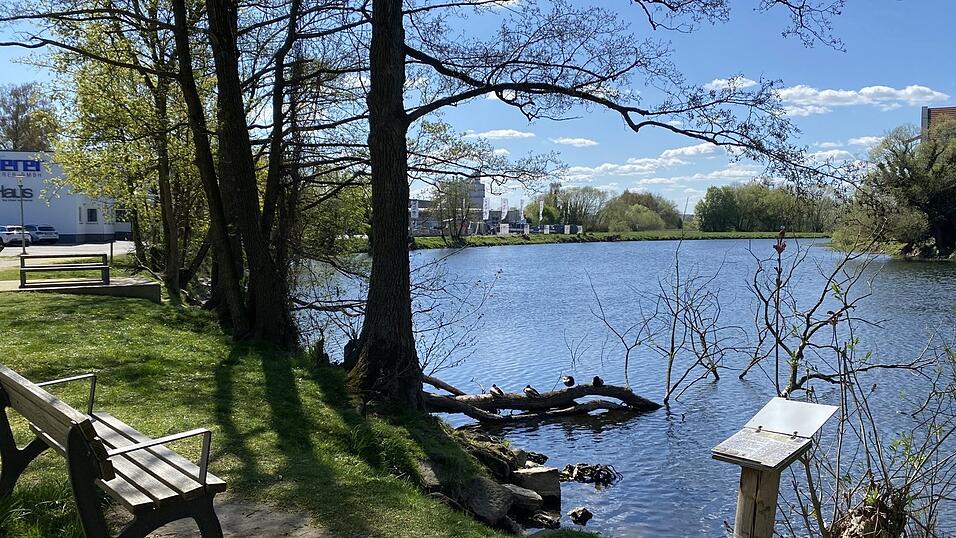 Im Zuge des Hochwasserschutzes soll auch die Aufenthaltsqualit&auml;t am Regenufer aufgewertet werden. Von Flussterrassen und Badestr&auml;nden ist da die Rede.
