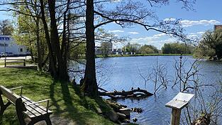 Im Zuge des Hochwasserschutzes soll auch die Aufenthaltsqualit&auml;t am Regenufer aufgewertet werden. Von Flussterrassen und Badestr&auml;nden ist da die Rede.