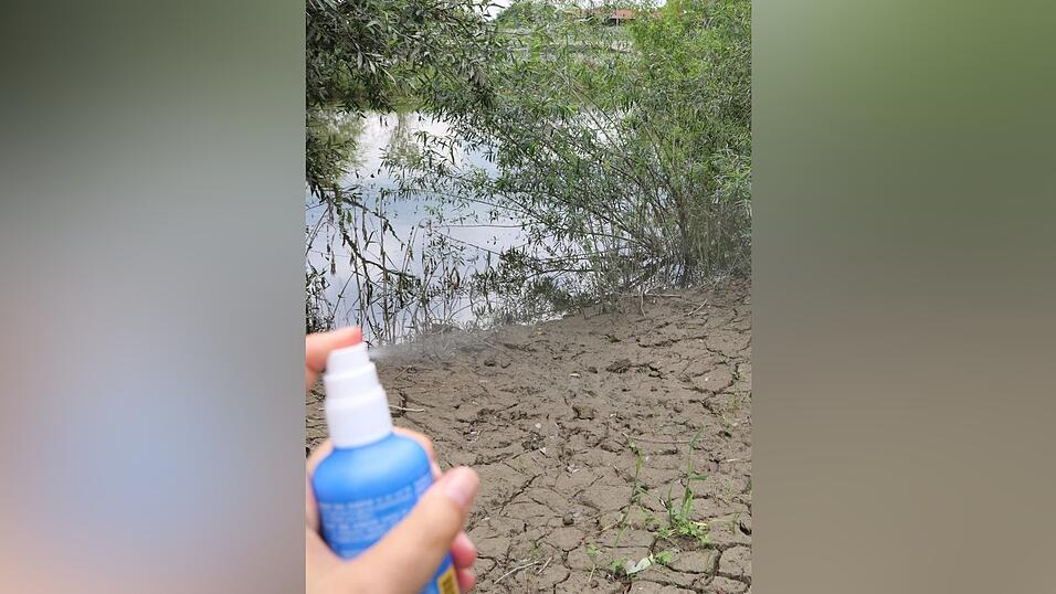 An der Donau ist man gut beraten, M&uuml;ckenspray dabei zu haben. Besonders abends. Die Erde ist dort vom k&uuml;rzlichen Hochwasser noch gut feucht, hier und da steht Wasser - es herrschen also ideale Bedingungen f&uuml;r die Plagegeister.