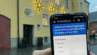 Im Rathaus (Hintergrund) tagt regelmäßig der Stadtrat und entscheidet über wichtige Themen. Doch auch Jugendliche können - aktuell per Fragebogen auf dem Handy - die Zukunft von Landau mitgestalten.