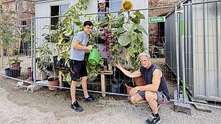 Andreas Kreddig (im Fenster) und seine Kollegen machten aus dem schmucklosen Bauwagen im vergangenen Jahr eine kleine gr&uuml;ne Oase, die bei den Landshutern viel Anklang fand. In wenigen Wochen ist der Steinmetzmeister mit den Arbeiten in der Residenz fertig und verl&auml;sst Landshut, deshalb gibt es den Anblick dieses Jahr nicht mehr.