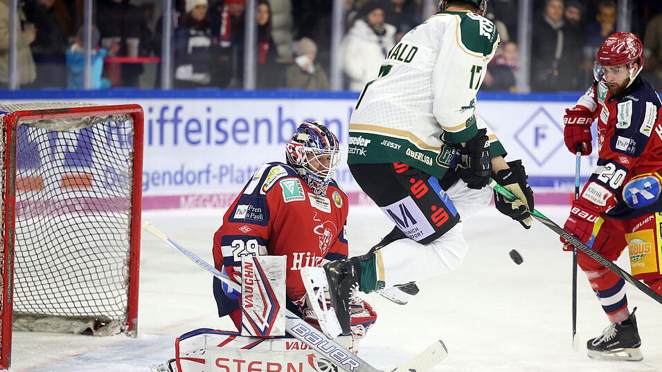 Der erste Vergleich vor heimischen Fans mit den Erding Gladiators ging an die Oberbayern, nun wollen die Deggendorfer Revanche nehmen und sich Selbstvertrauen für das Topspiel am Sonntag in Memmingen holen. Der erste Vergleich vor heimischen Fans mit den Erding Gladiators ging an die Oberbayern, nun wollen die Deggendorfer Revanche nehmen und sich Selbstvertrauen für das Topspiel am Sonntag in Memmingen holen.