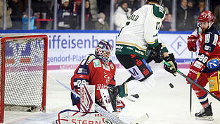 Der erste Vergleich vor heimischen Fans mit den Erding Gladiators ging an die Oberbayern, nun wollen die Deggendorfer Revanche nehmen und sich Selbstvertrauen f&uuml;r das Topspiel am Sonntag in Memmingen holen.