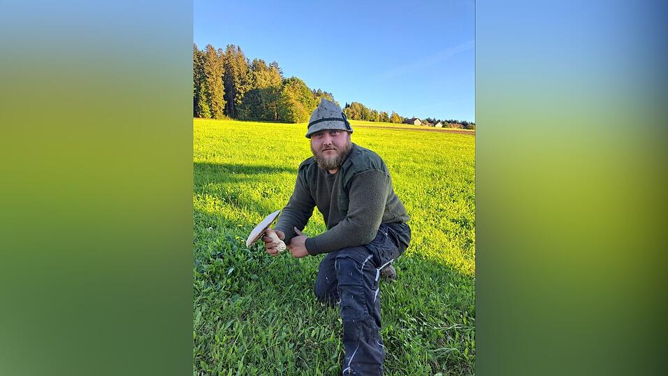 Andreas Zollner hat in Konzell einen wahren Prachtchampignon gefunden: Dieses Exemplar brachte 256 Gramm auf die Waage. Andreas Zollner hat in Konzell einen wahren Prachtchampignon gefunden: Dieses Exemplar brachte 256 Gramm auf die Waage.