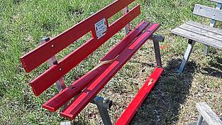 Die rote Bank war erst kürzlich im Stadtpark aufgestellt worden. Sie ist eigentlich ein Symbol gegen Gewalt an Frauen. Die rote Bank war erst kürzlich im Stadtpark aufgestellt worden. Sie ist eigentlich ein Symbol gegen Gewalt an Frauen.
