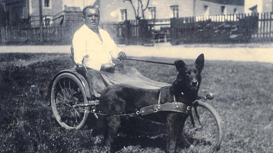 Josef Haas war ab Mitte der 1930er Vollinvalide. Freunde bauten ihm einen Wagen. Ein Hund zog Haas damit fortan durch Regensburg und teils bis nach Donaustauf. Überall sprach Haas offen aus, was er von den Nazis hielt. Josef Haas war ab Mitte der 1930er Vollinvalide. Freunde bauten ihm einen Wagen. Ein Hund zog Haas damit fortan durch Regensburg und teils bis nach Donaustauf. Überall sprach Haas offen aus, was er von den Nazis hielt.