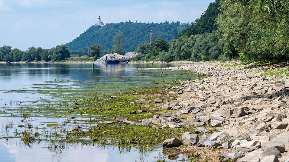 Nicht nur an der Donau sind die Wasserstände derzeit ungewöhnlich niedrig. (Archivbild) Nicht nur an der Donau sind die Wasserstände derzeit ungewöhnlich niedrig. (Archivbild)