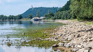 Nicht nur an der Donau sind die Wasserstände derzeit ungewöhnlich niedrig. (Archivbild) Nicht nur an der Donau sind die Wasserstände derzeit ungewöhnlich niedrig. (Archivbild)