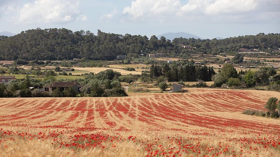 Die totale Sonnenfinsternis ist in Spanien vor allem von dünn besiedelten Regionen aus gut zu beobachten. In diese wunderschönen Landschaften verirren sich sonst nicht so viele ausländische Urlauber. Die totale Sonnenfinsternis ist in Spanien vor allem von dünn besiedelten Regionen aus gut zu beobachten. In diese wunderschönen Landschaften verirren sich sonst nicht so viele ausländische Urlauber.