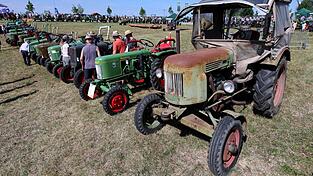 Ein Oldtimer-Traktor schöner als der andere. Ein Oldtimer-Traktor schöner als der andere.