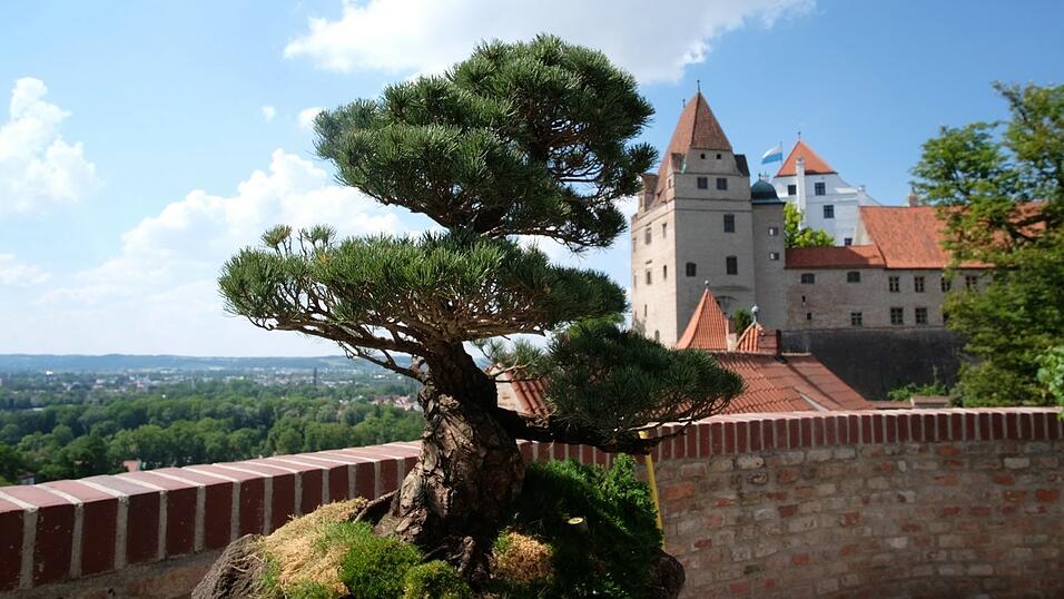 Herrliche Eindrücke vom Gartenfestival 2018 auf der Burg Trausnitz in Landshut. Herrliche Eindrücke vom Gartenfestival 2018 auf der Burg Trausnitz in Landshut.
