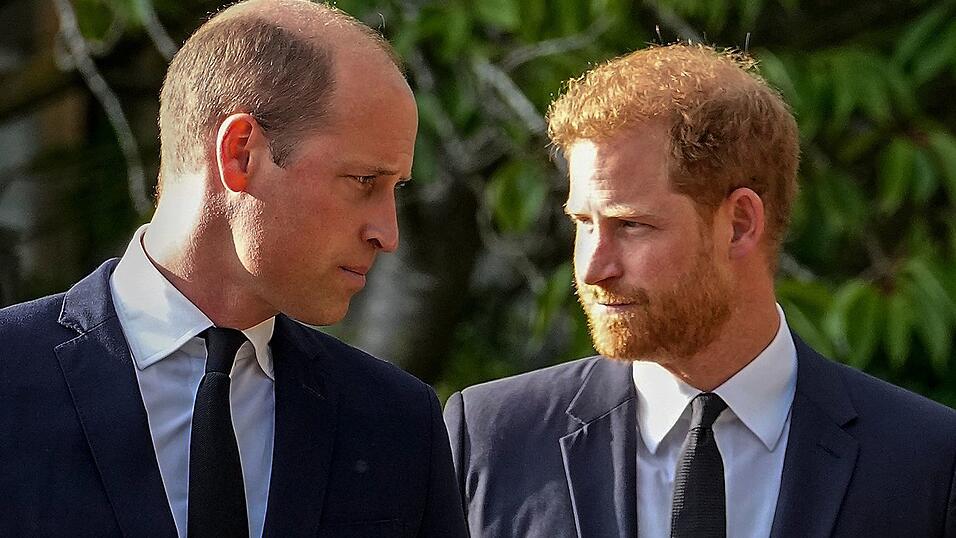 Das Verhältnis Harrys (rechts) zu seinem Bruder William (links) soll besonders zerrüttet sein. (Archivfoto) Das Verhältnis Harrys (rechts) zu seinem Bruder William (links) soll besonders zerrüttet sein. (Archivfoto)