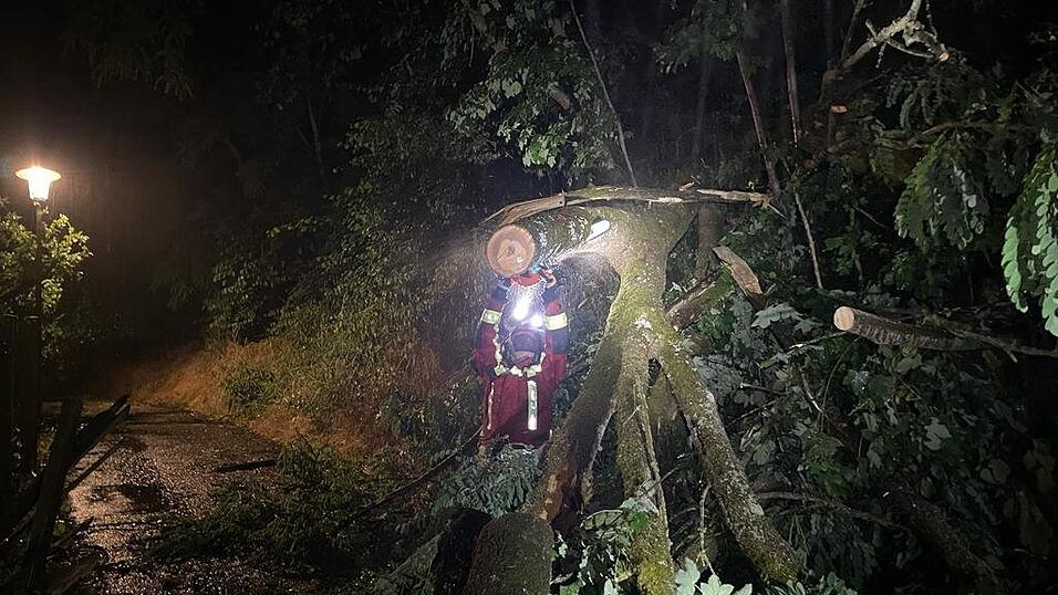 Mehr als 40 Eins&auml;tze hatten die L&ouml;schz&uuml;ge der Landshuter Feuerwehr im Zuge des Unwetters zu absolvieren.
