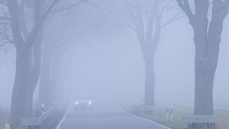Dichter Nebel sorgte dafür, dass ein Schulbusfahrer die Abzweigung verpasste. (Symbolbild) Dichter Nebel sorgte dafür, dass ein Schulbusfahrer die Abzweigung verpasste. (Symbolbild)