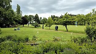 Eine Impression aus dem privaten Garten Oblaks. Ein Teil der Skulpturen ist k&uuml;nftig im Stadtpark zu bestaunen.