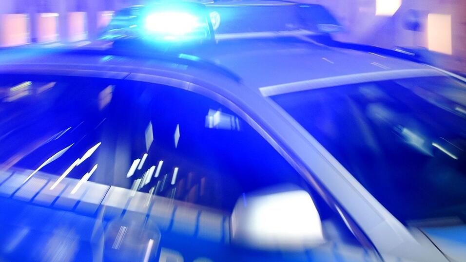 Ein 65-Jähriger ist in Zeil am Main von einem Hundebesitzer bewusstlos geschlagen worden. (Symbolbild) Ein 65-Jähriger ist in Zeil am Main von einem Hundebesitzer bewusstlos geschlagen worden. (Symbolbild)