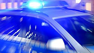 Ein 65-Jähriger ist in Zeil am Main von einem Hundebesitzer bewusstlos geschlagen worden. (Symbolbild)