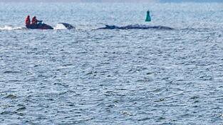 Mobilsierungsversuche gab es ab Mittag.