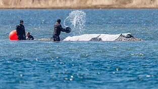 Helfer sch&uuml;tten Wasser auf den R&uuml;cken des Tieres.