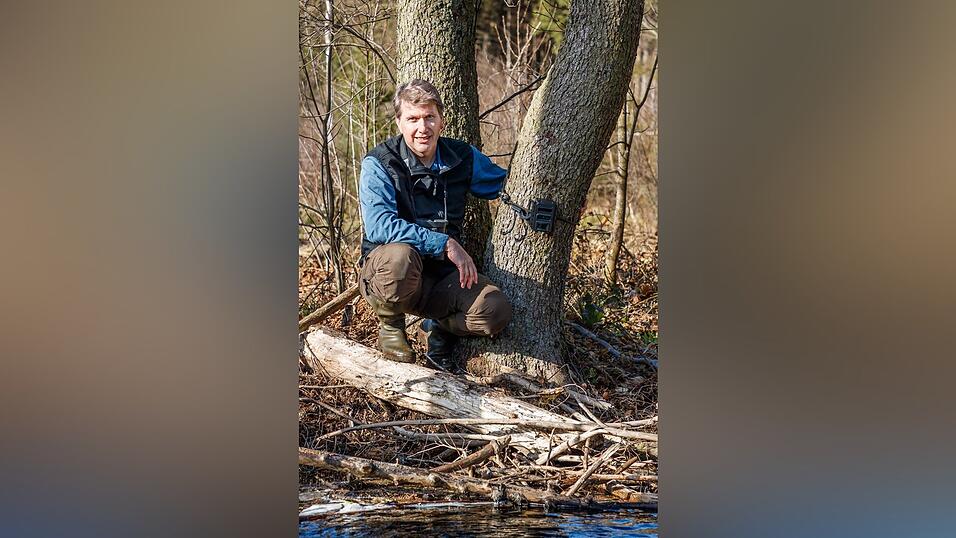 Prof. Dr. Marco Heurich ist im Nationalpark für das Wildtiermonitoring zuständig. Prof. Dr. Marco Heurich ist im Nationalpark für das Wildtiermonitoring zuständig.