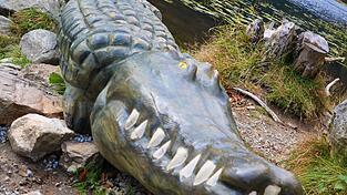 Aus Fichtenholz gefertigt, erwartet das Krokodil die Besucher des Gro&szlig;en Arbersees.